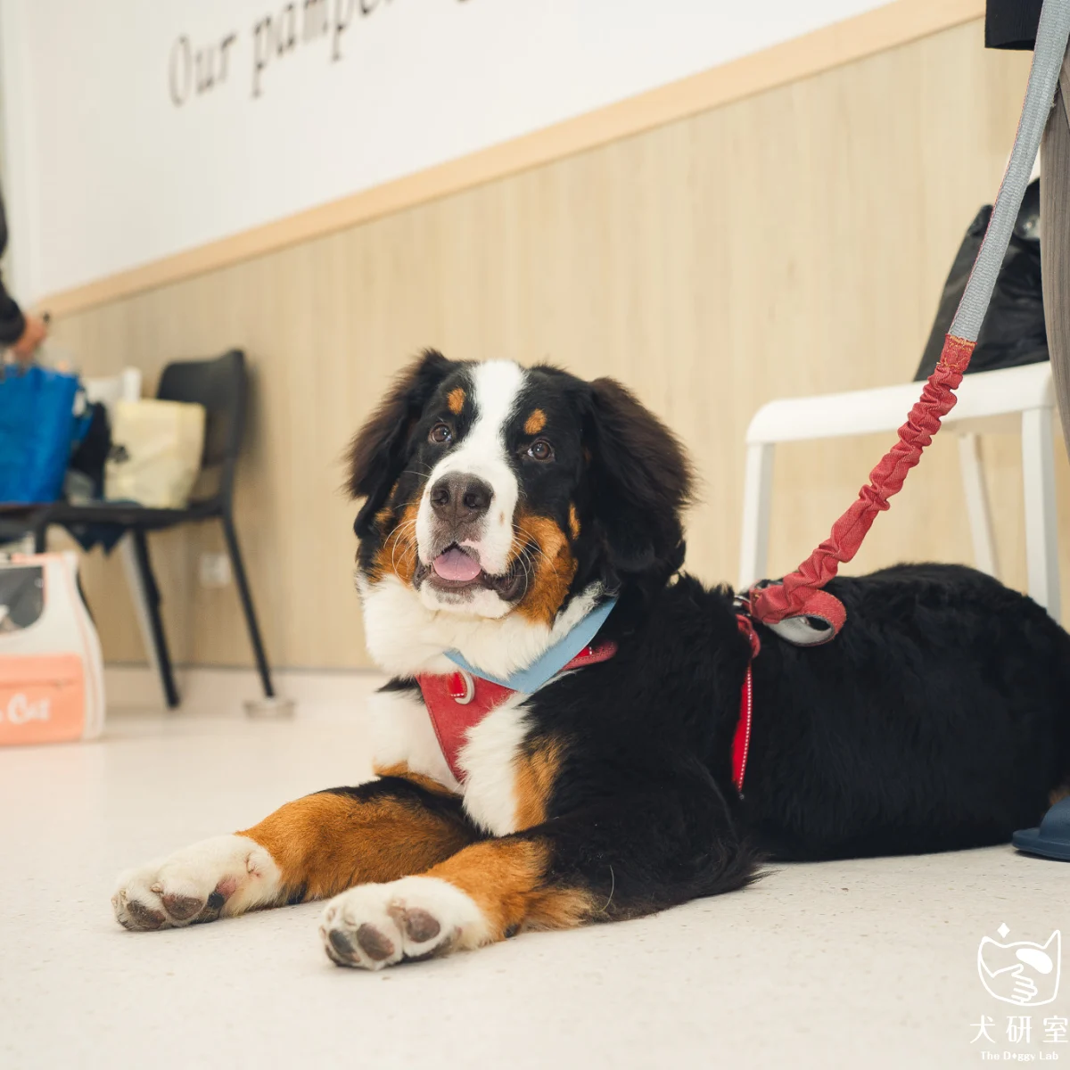 __wf_reserved_inherit