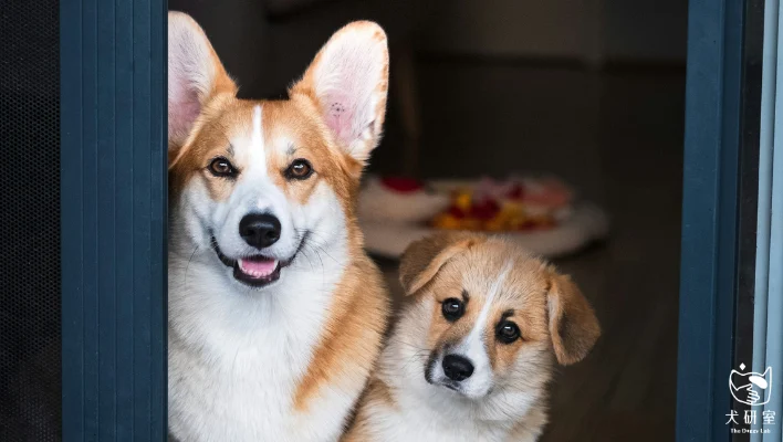 68d644c719c3da81bc4c794a 官網 橫幅 5 1