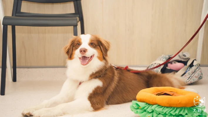 688ad33249f7d31607fbcba7 6 1