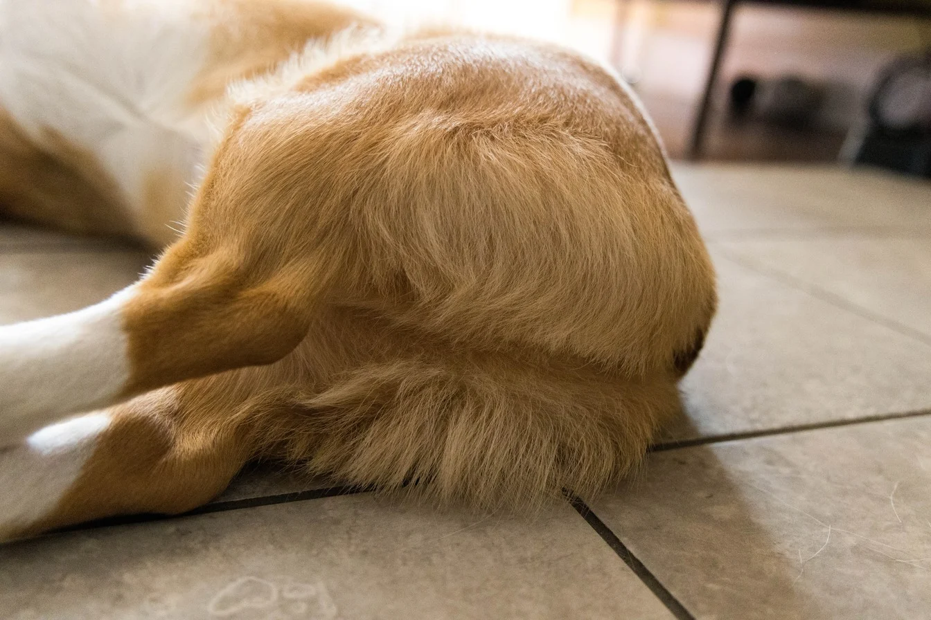 64ed6b167c5af0372720b543 Joshua Patton 0kjfncpqdwc Unsplash 1 1