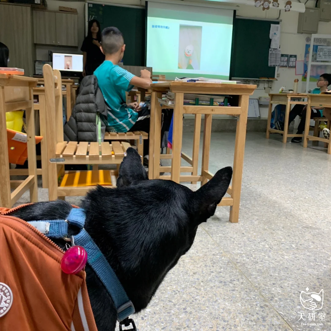 __wf_reserved_inherit