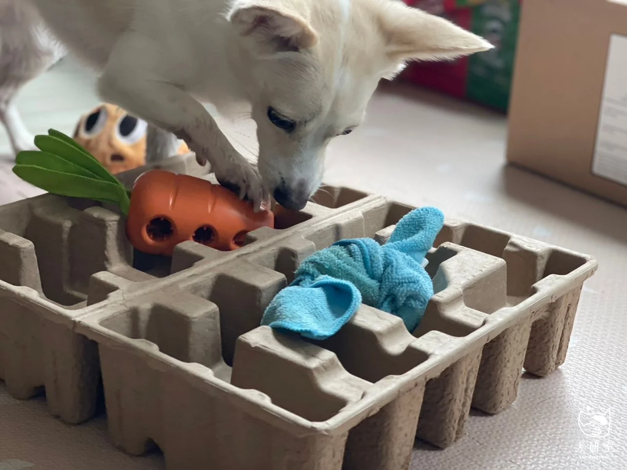 __wf_reserved_inherit