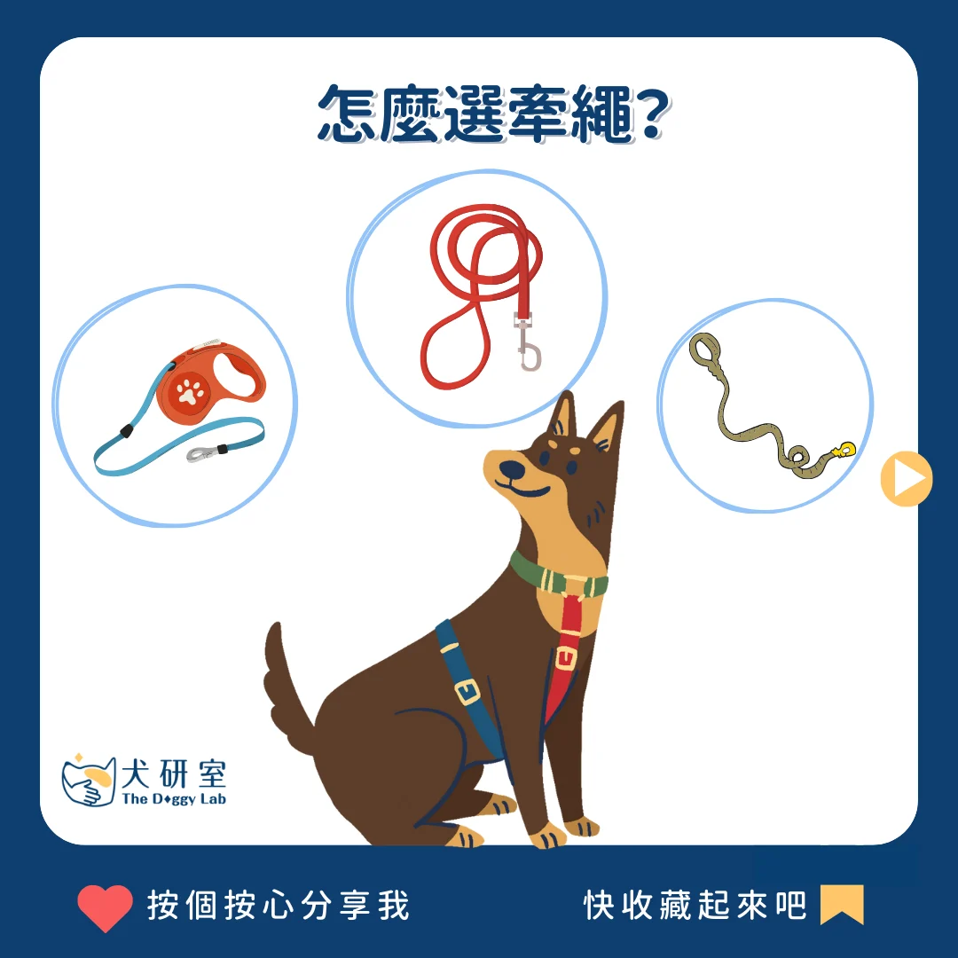 67f64ffeb4eca78e2b3fc247 怎麼選牽繩？1 1