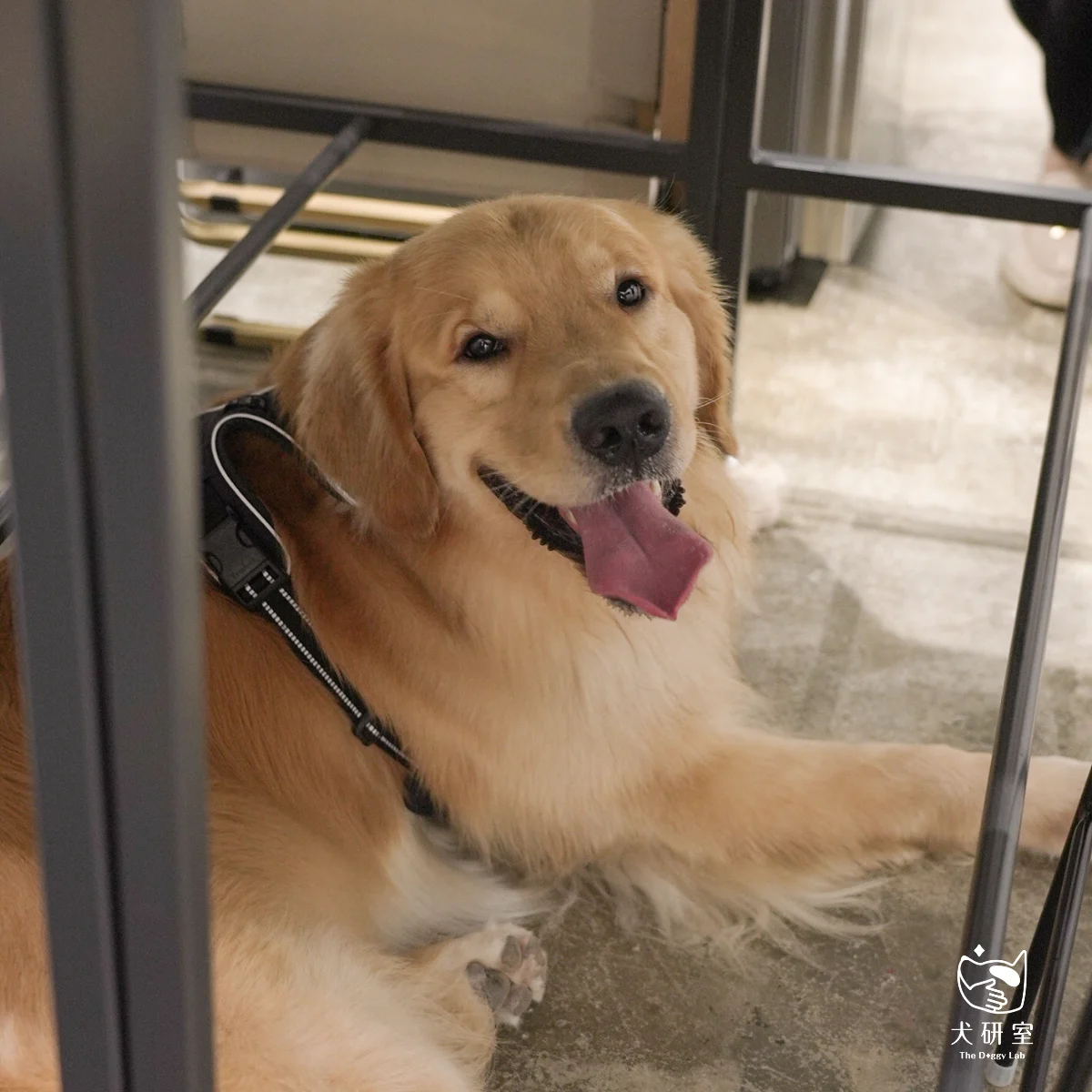 __wf_reserved_inherit