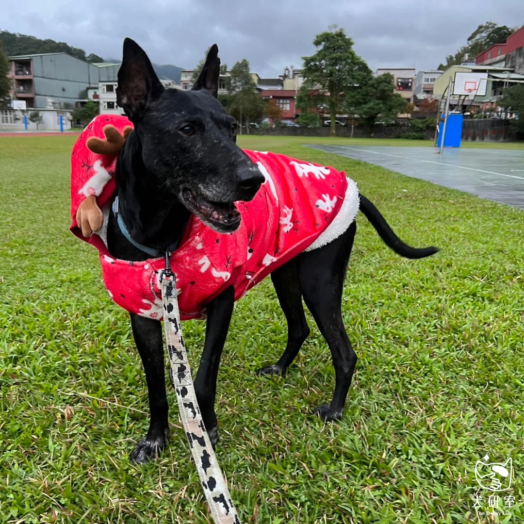 __wf_reserved_inherit