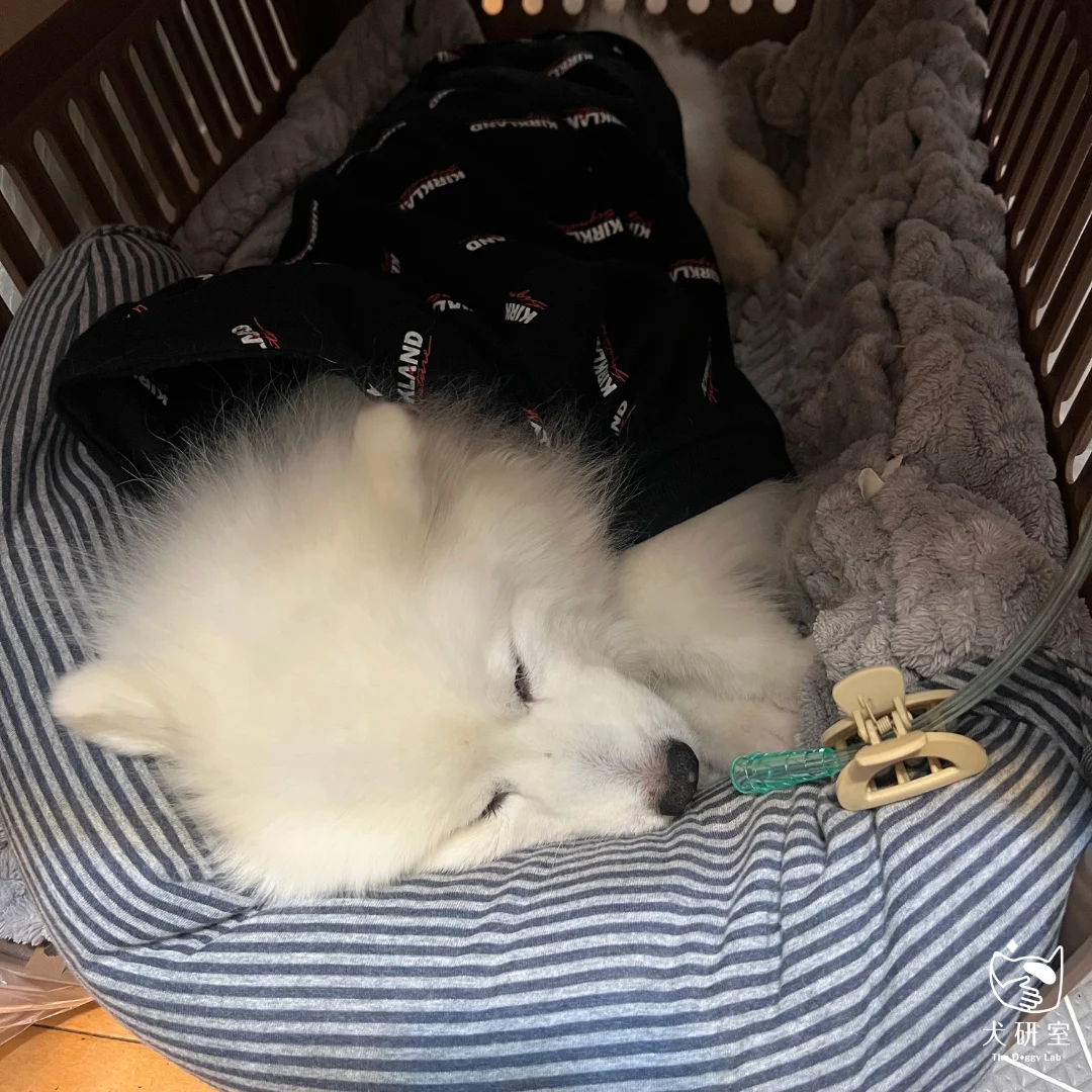 __wf_reserved_inherit