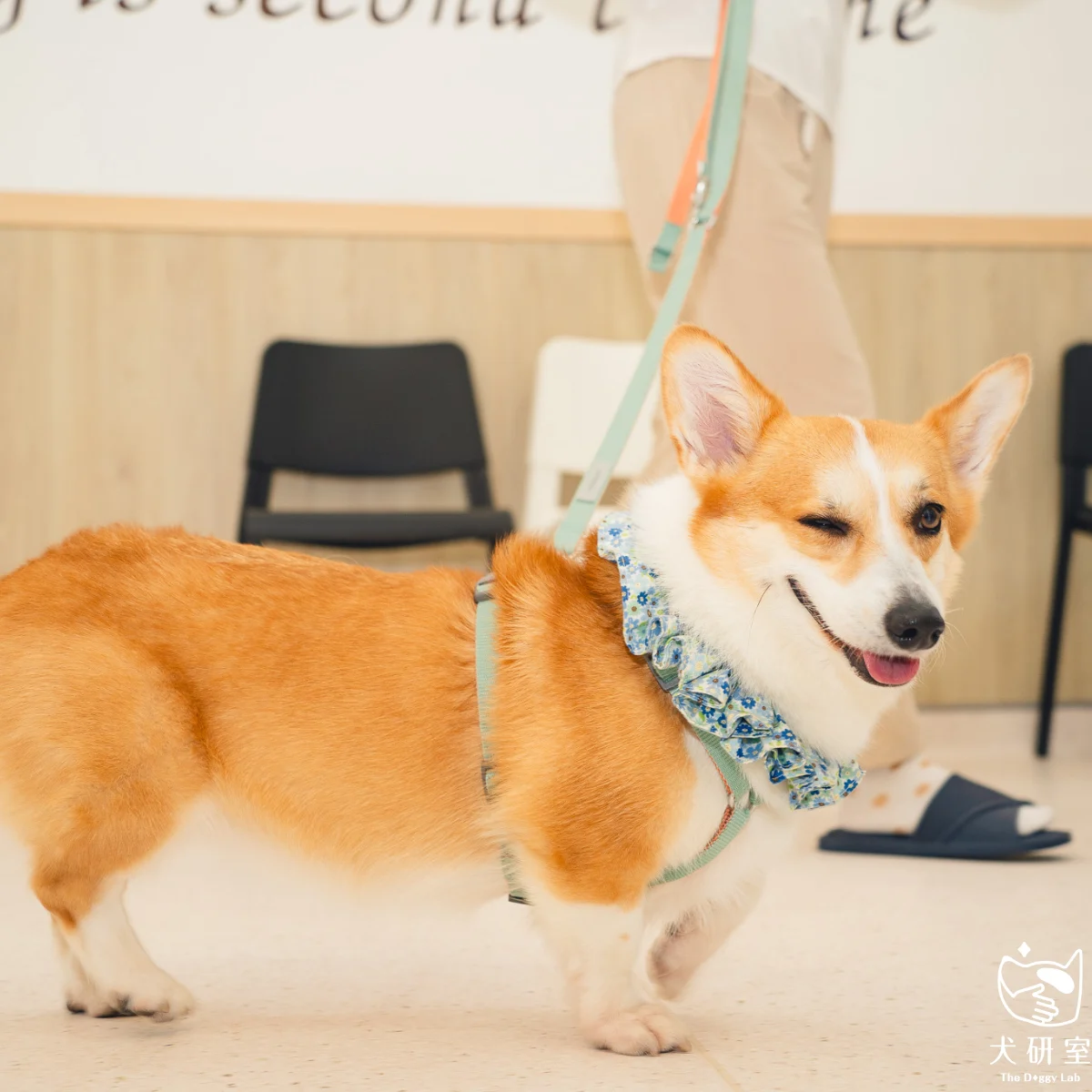 __wf_reserved_inherit