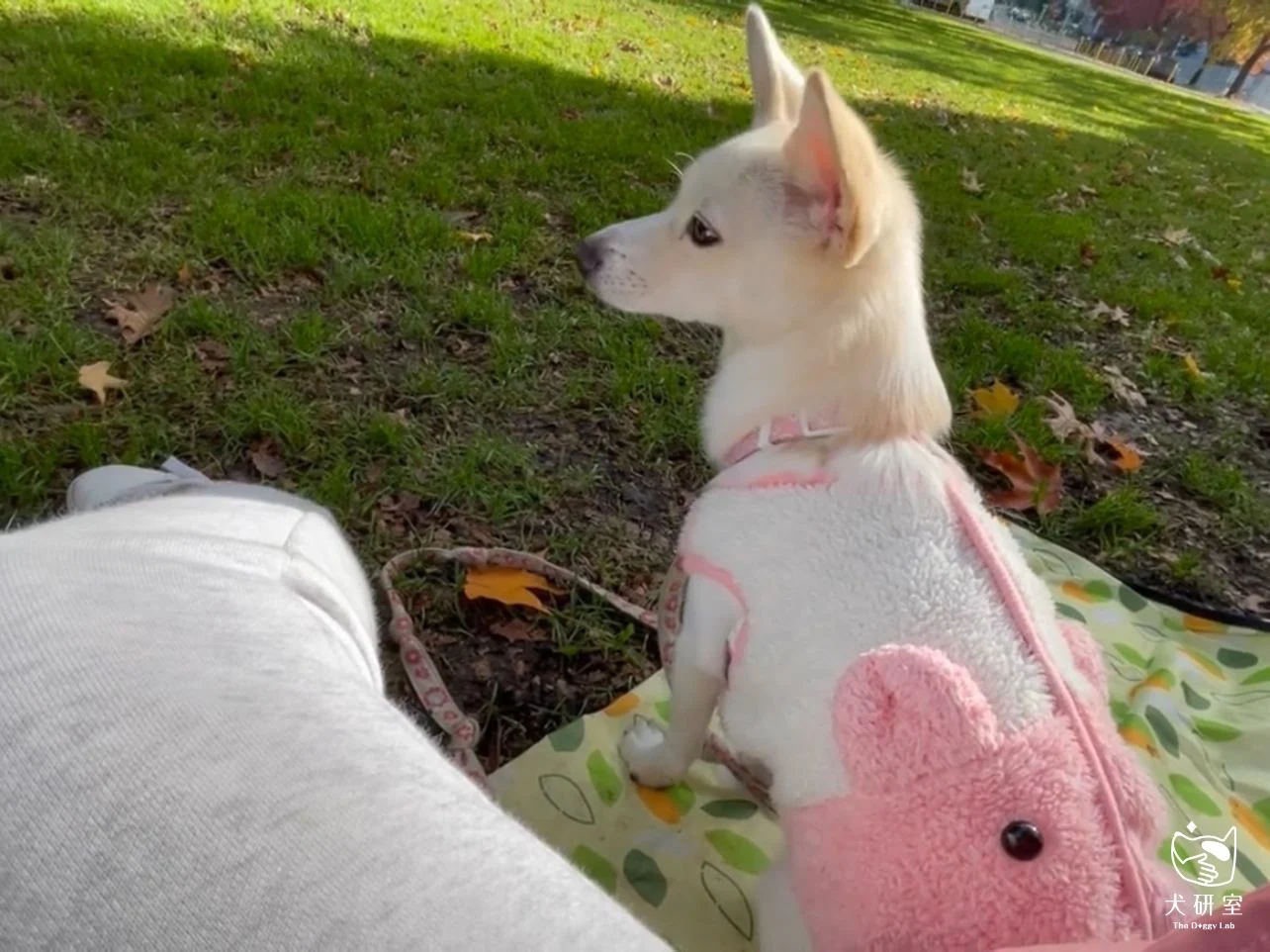 __wf_reserved_inherit