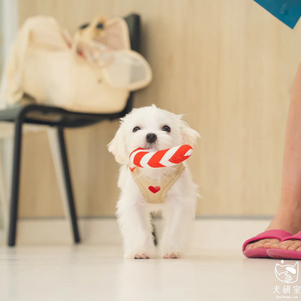 __wf_reserved_inherit