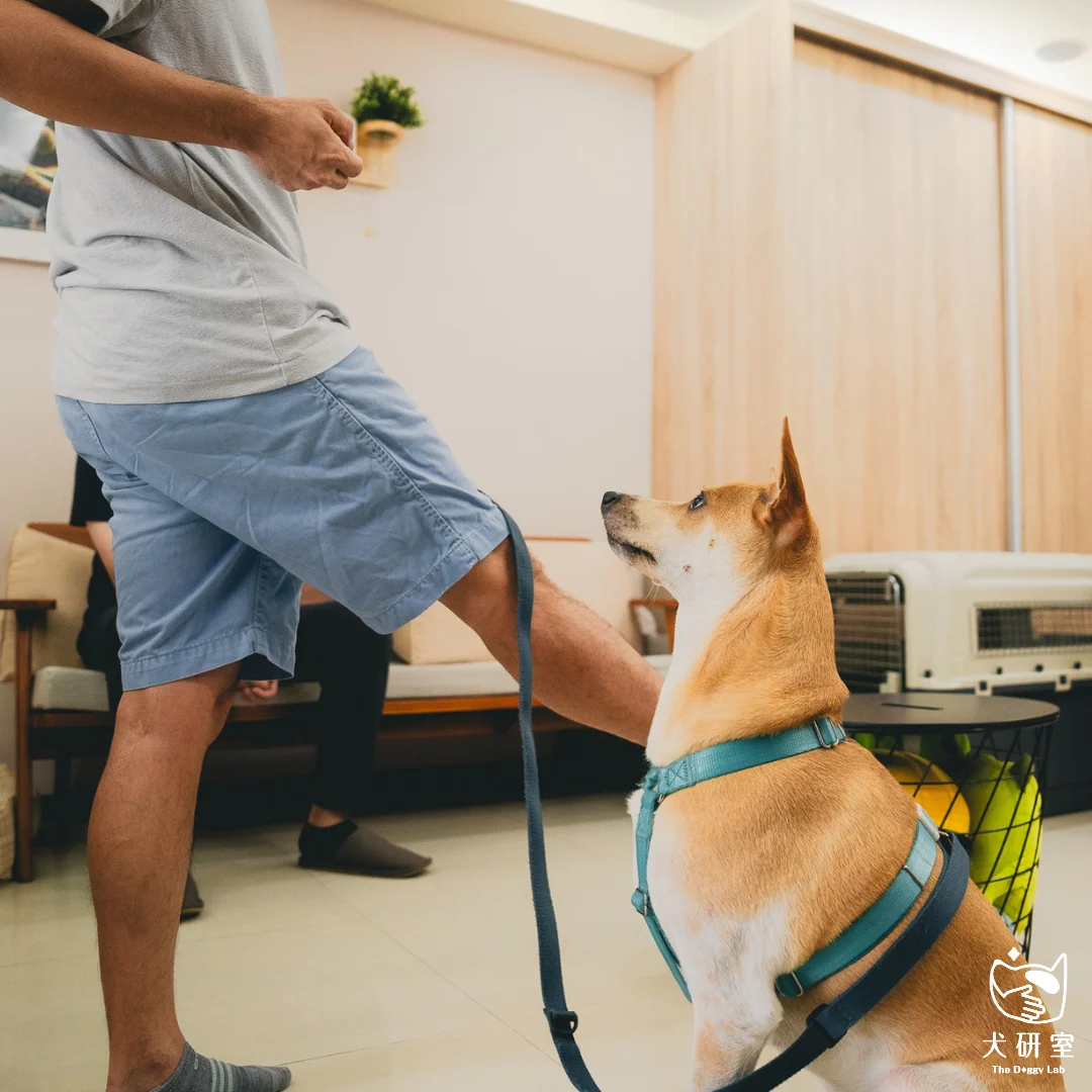 __wf_reserved_inherit