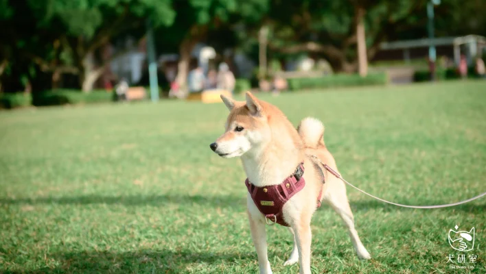 68bad4ca47f7c2c47fab2aca 官網 橫幅 3 1