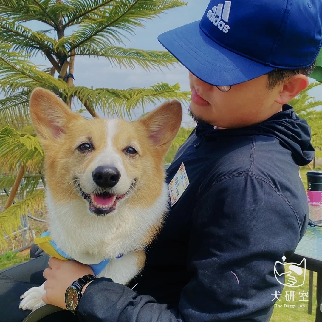 6507b7e7ea07fa02ac32278c 2 1