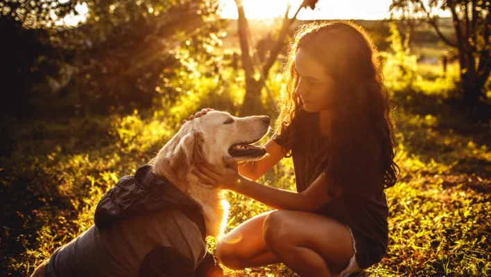 68789bcc0ae9850f6c0293b8 官網 橫幅 1