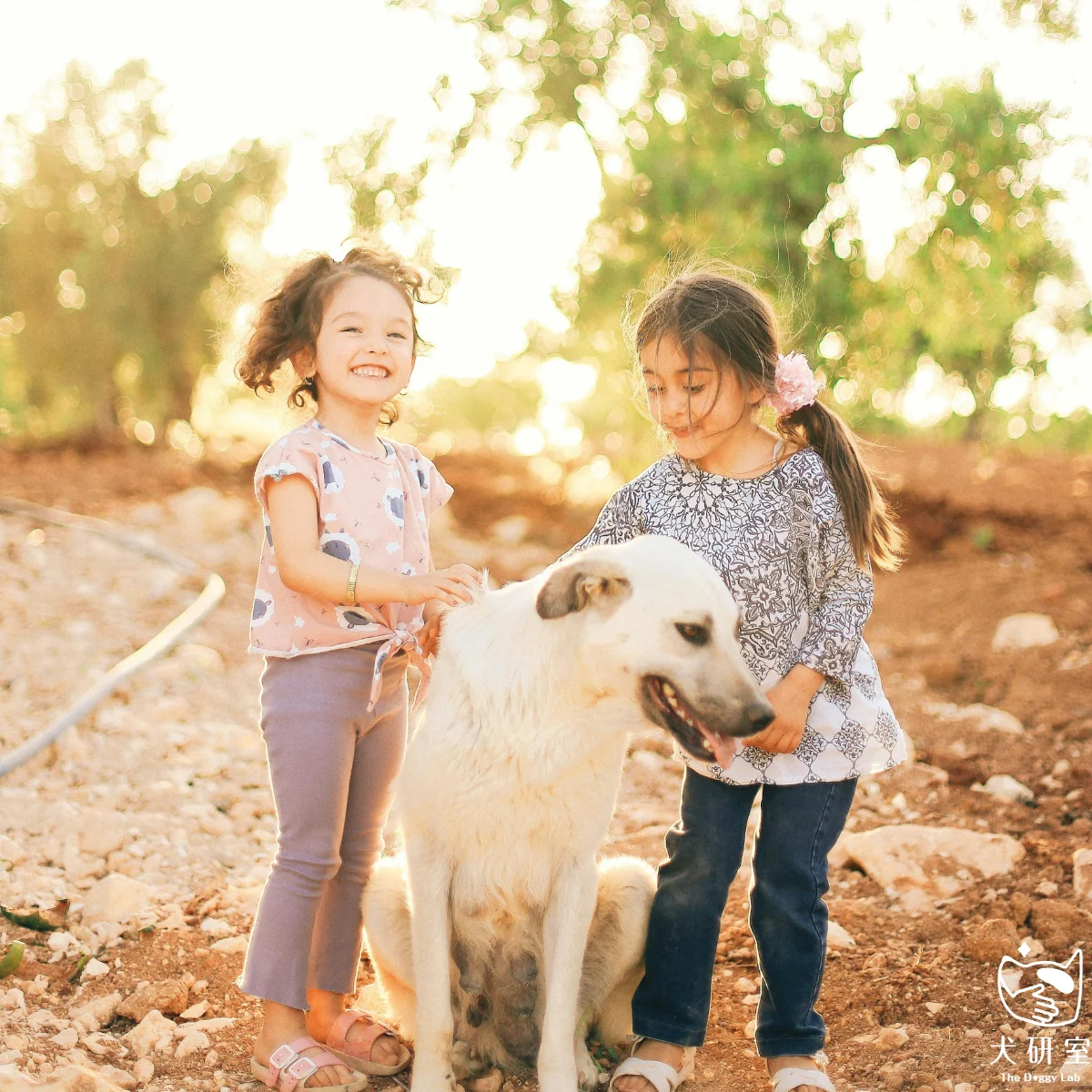 __wf_reserved_inherit