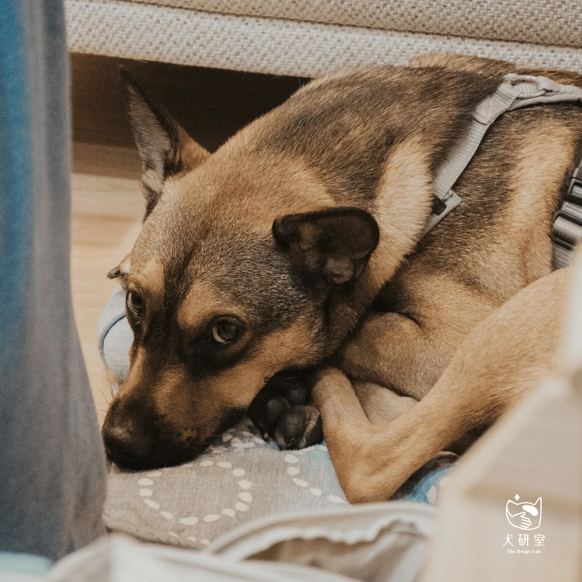 __wf_reserved_inherit