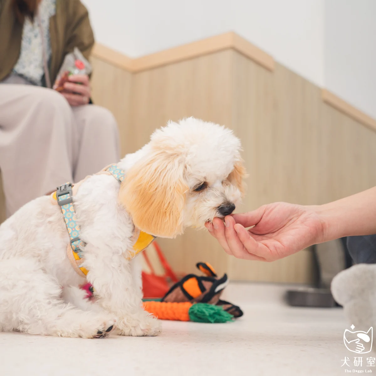 __wf_reserved_inherit