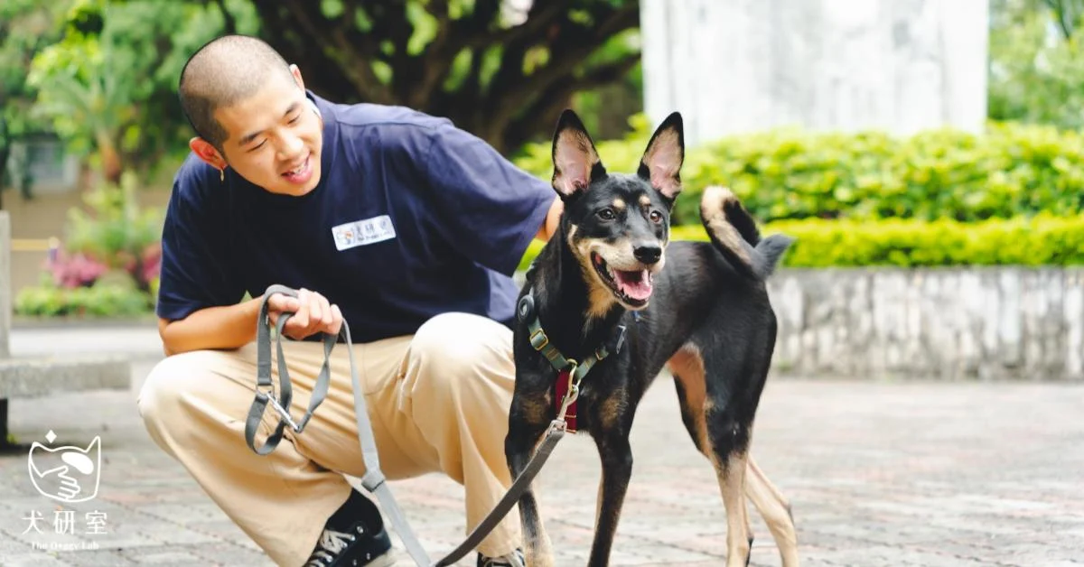 67d7e299a8bc5c3b89ec5f9f 橫式圖檔 上logo 1200x628 8 3 1