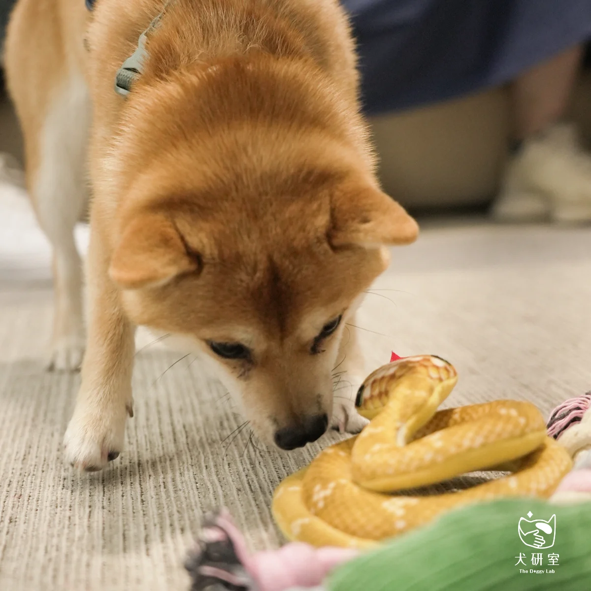 __wf_reserved_inherit