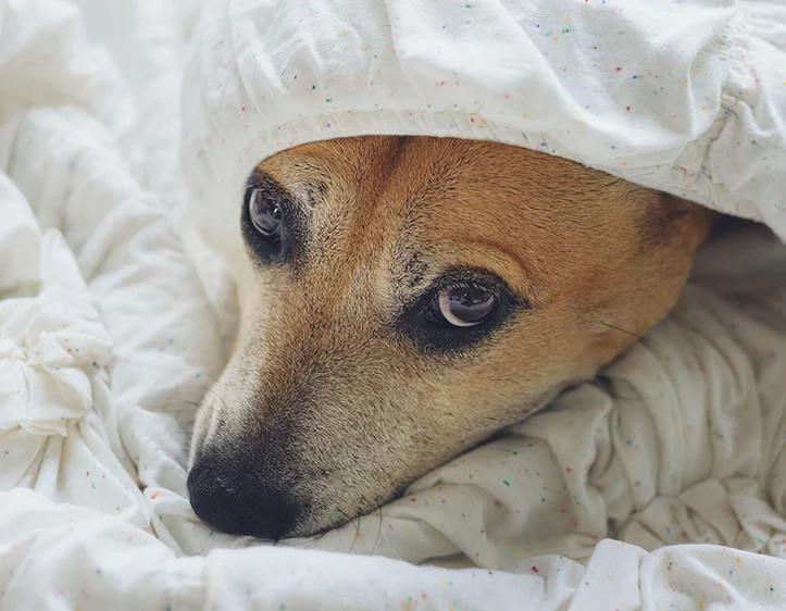 638087c24ccc8f4323ba7120 Tracey Hocking Tpxx8tjo5 W Unsplash 1