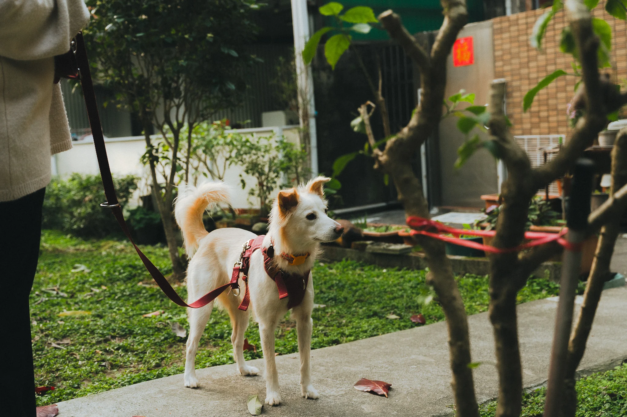 67fce81a13edee9055616955 Dsc07629 1 1