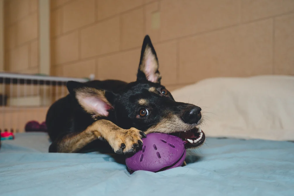 64d35ad5d548fd851ee7b331 Dsc08897 1 1