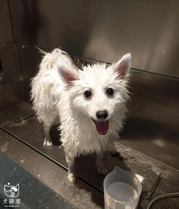 658014356b3e3f4eb9cbc255 直式圖檔 上logo 600x700 的副本 1 1