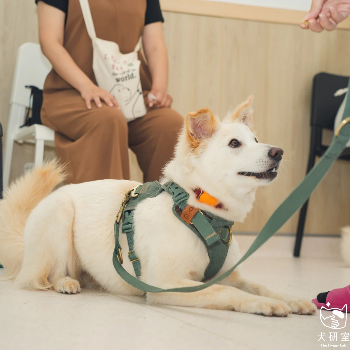 __wf_reserved_inherit