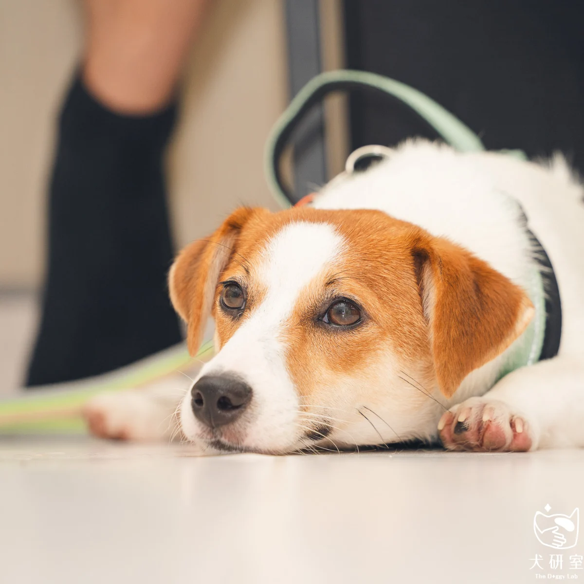 __wf_reserved_inherit