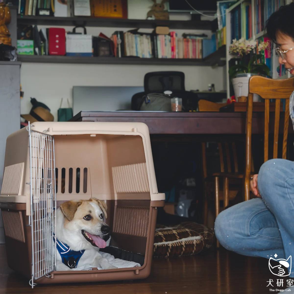 __wf_reserved_inherit