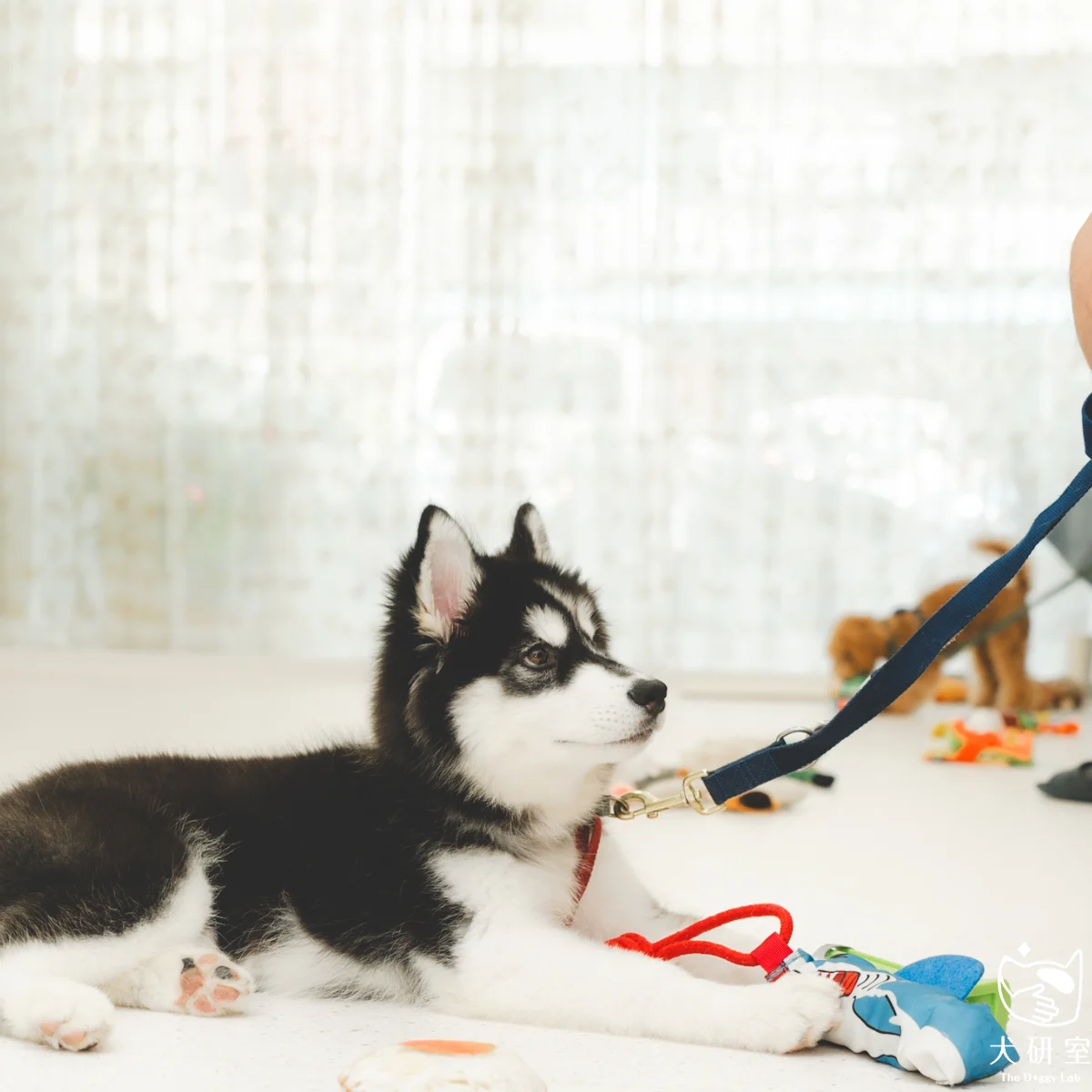 __wf_reserved_inherit