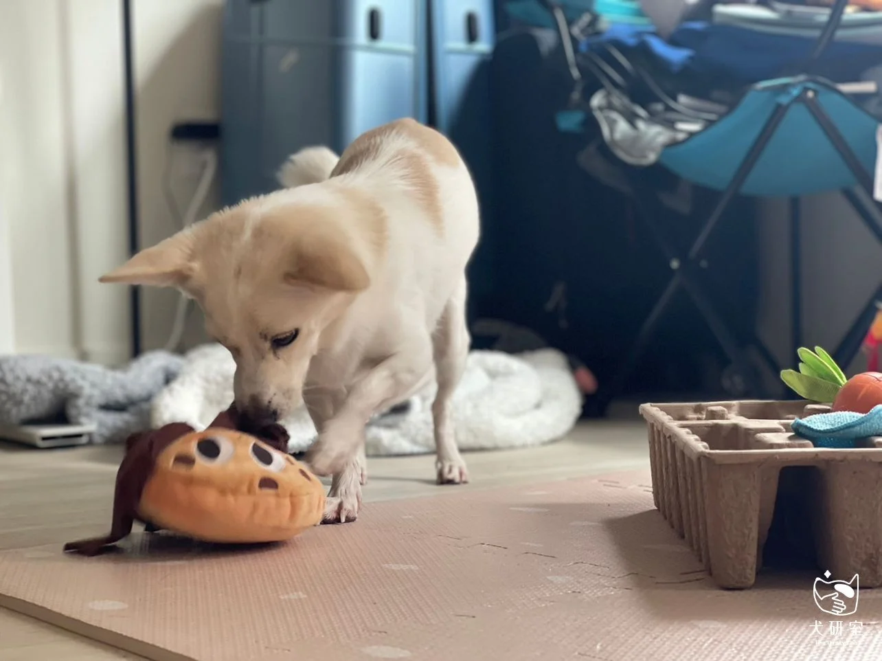 __wf_reserved_inherit