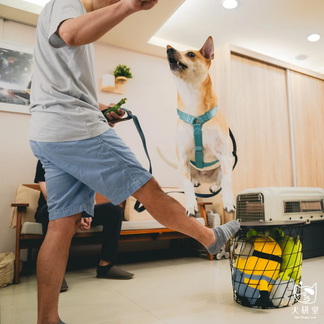 __wf_reserved_inherit