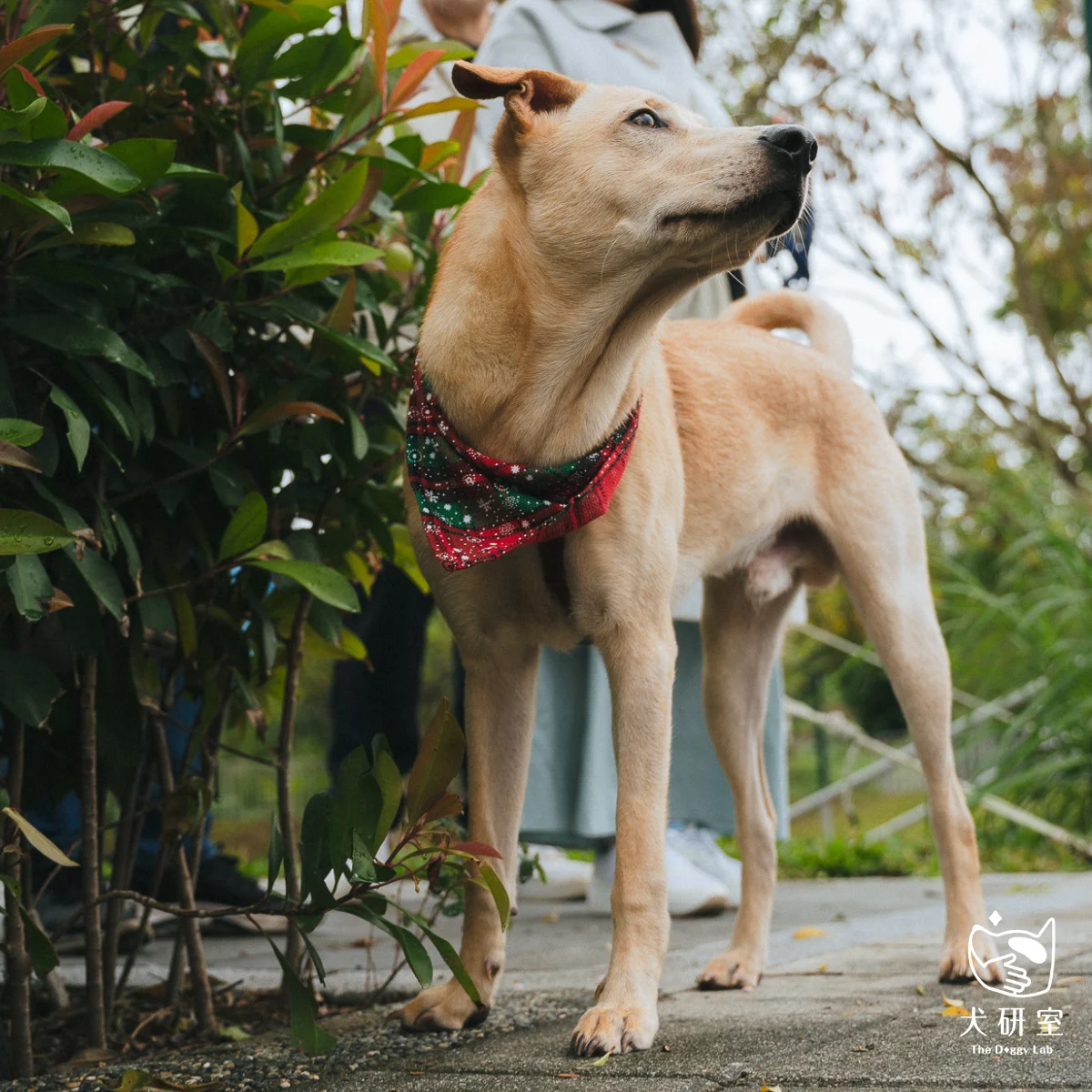 __wf_reserved_inherit