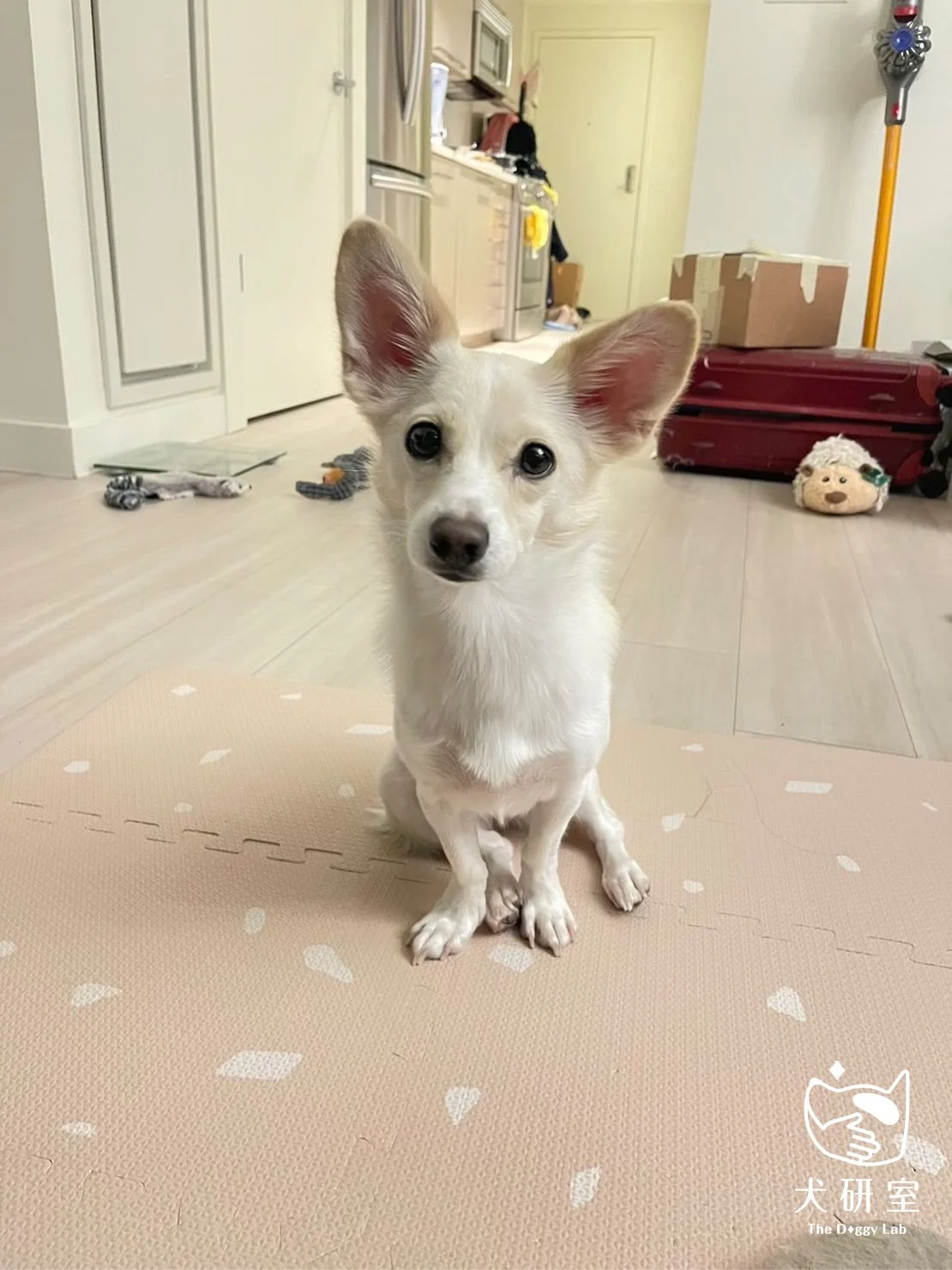 __wf_reserved_inherit