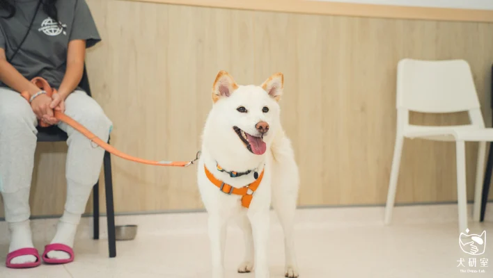 688adc01ae7fb206bfd9e03a 13 1