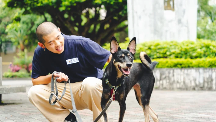 678a15ee2a91149aa9352900 犬研室部落格縮圖 橫幅 10 1