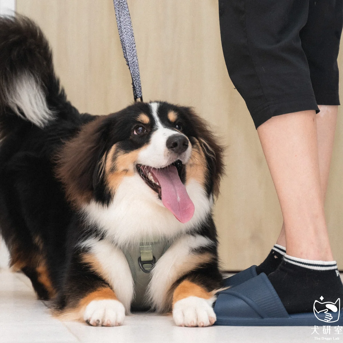 __wf_reserved_inherit