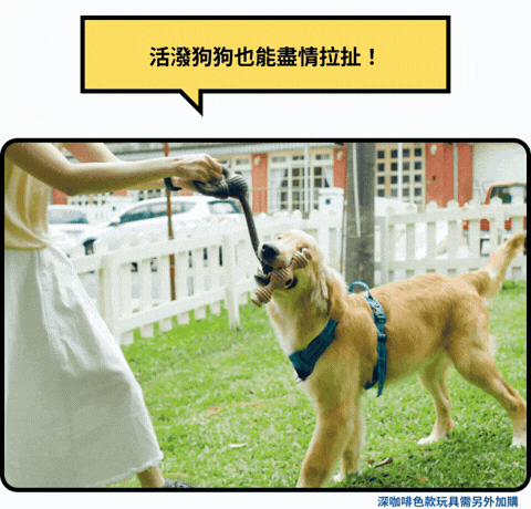 Caniplay 改版商品頁 5 (3)