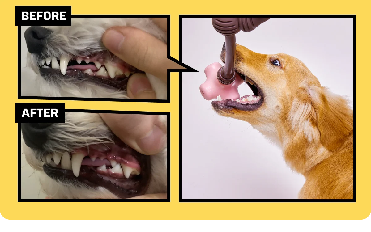 5a9c0f5a22834ca8fc504cdb4cb91819 3