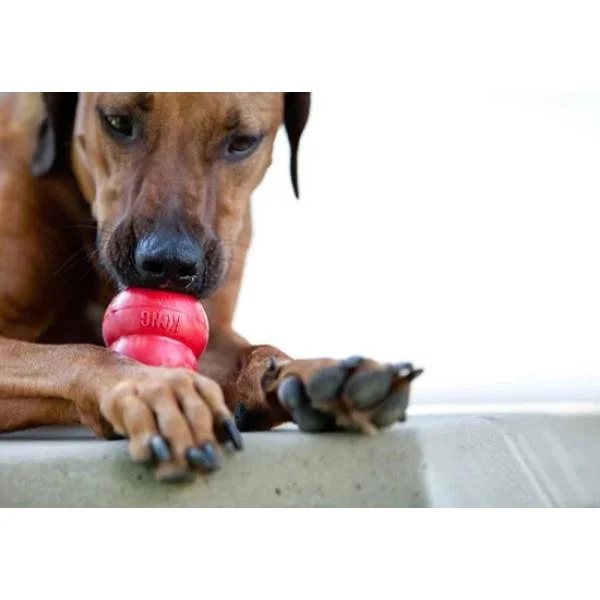 0dc2ead823e013cf5a5a5bb4abd7ee2f