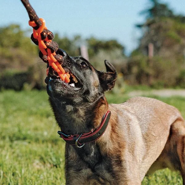 B57019e514acb6f280e93f194e7db090