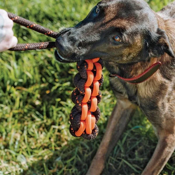 Fee345d4484be15cb15ed36baa19869d