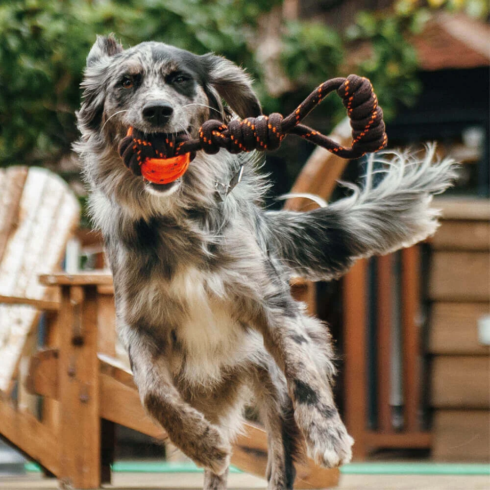 Outdoor Toy露營野趣玩具 商品圖 35