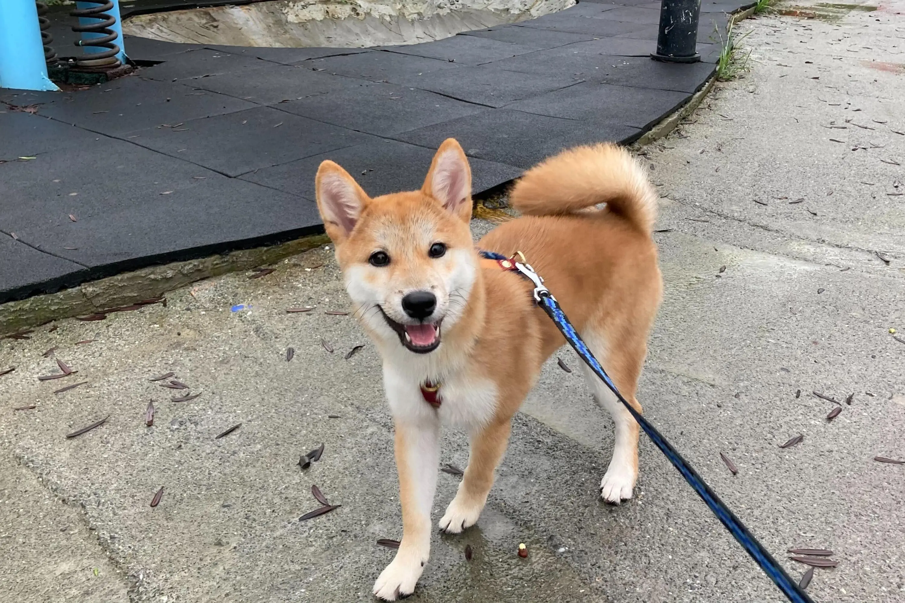 官網部落格首圖