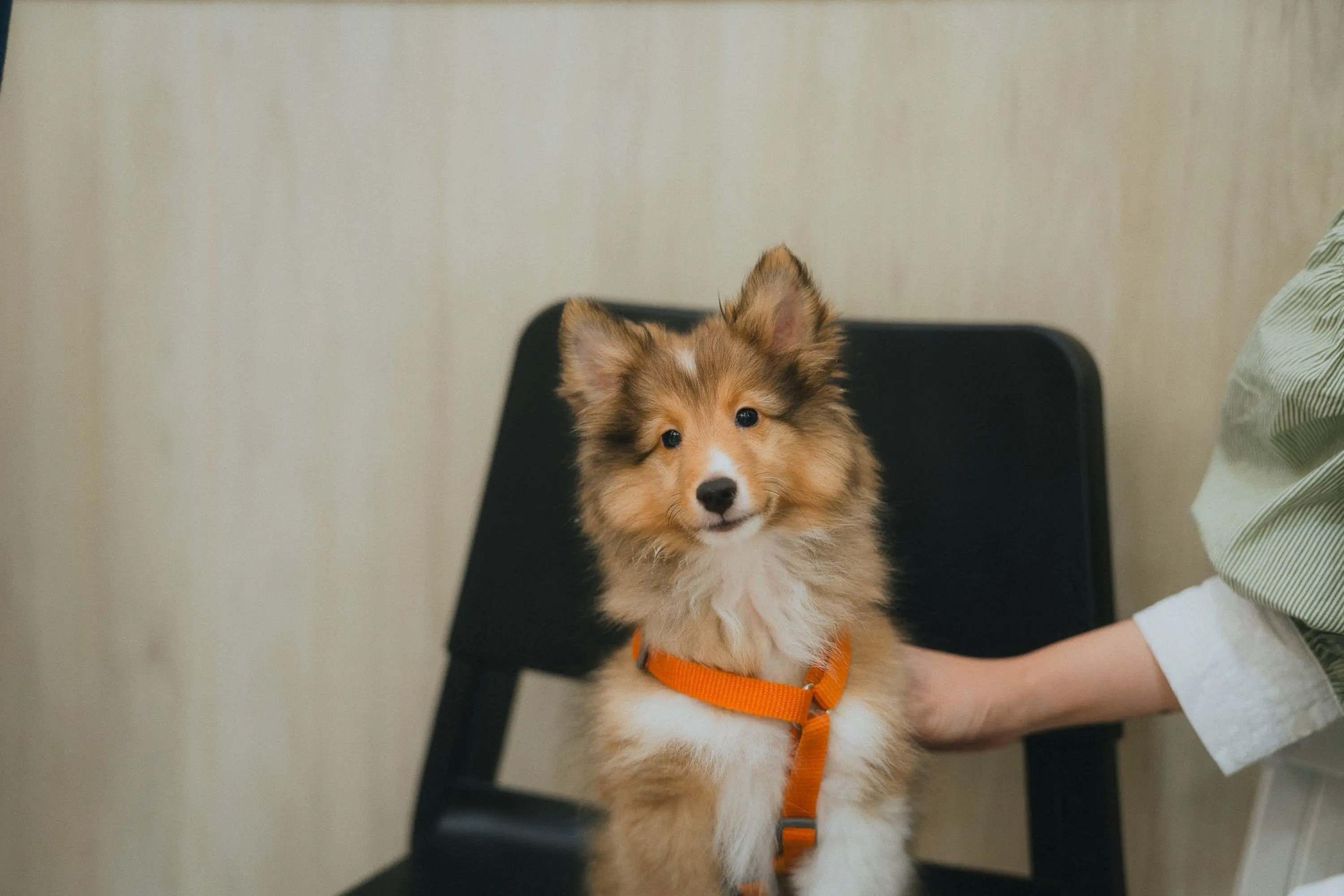 官網部落格首圖 1