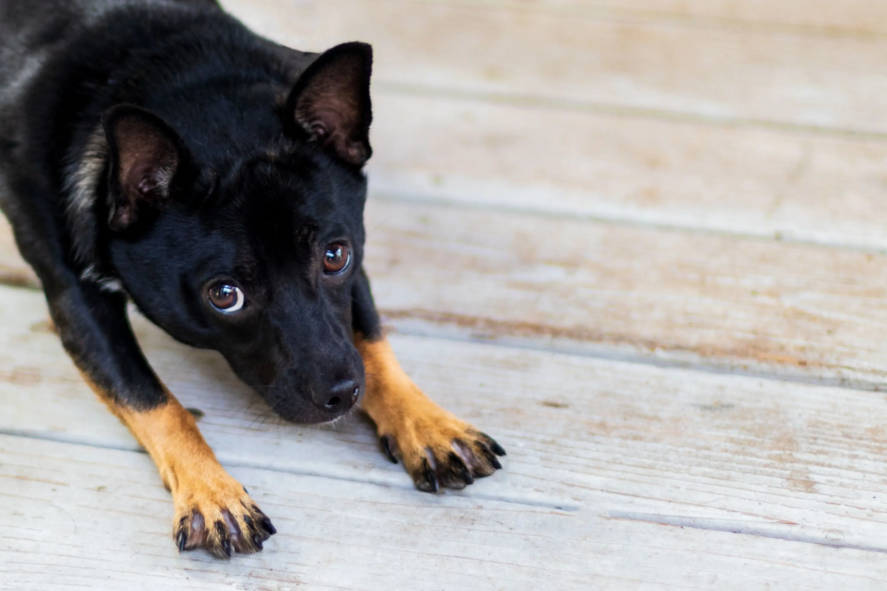 官網部落格首圖 2