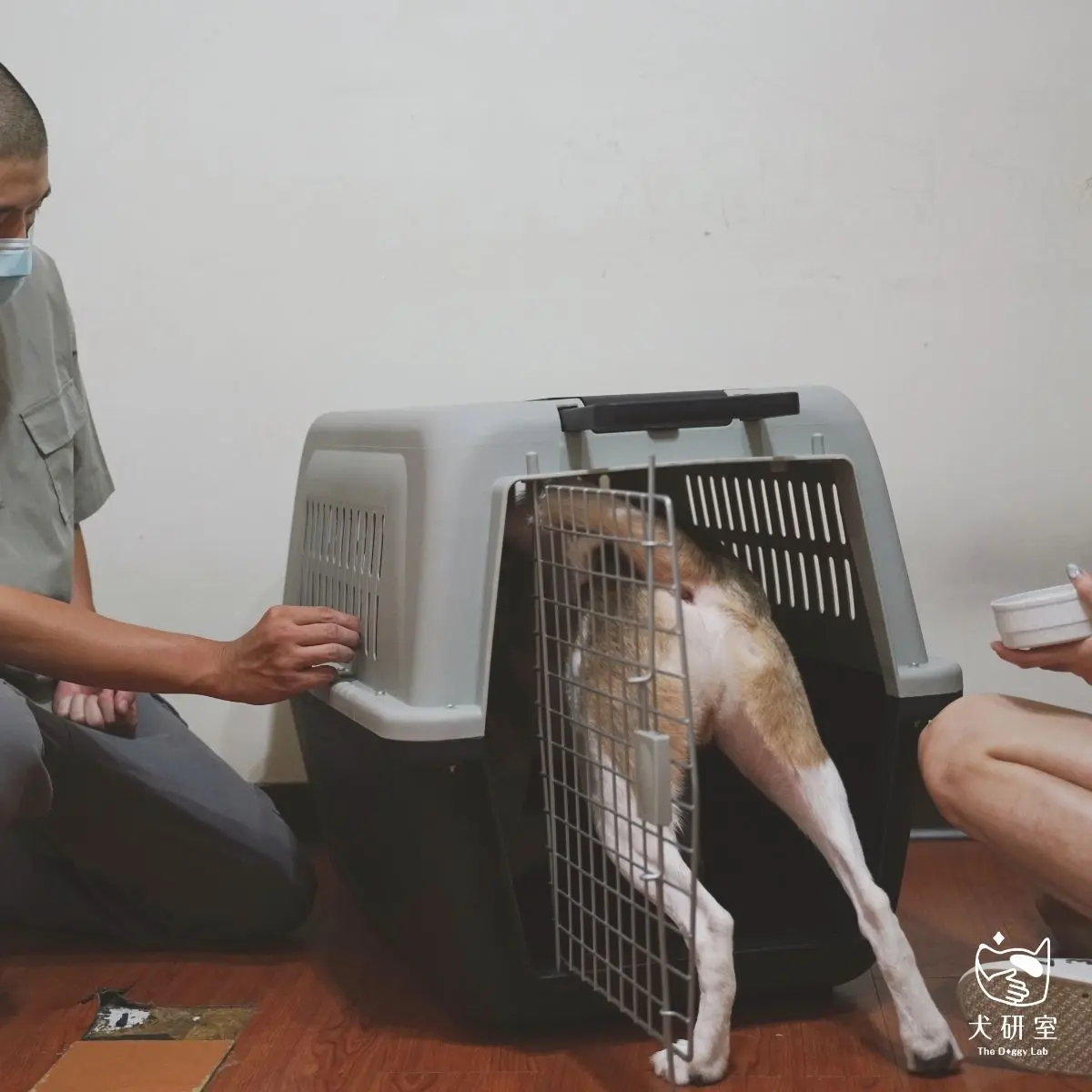 籠內訓練（crate Training）是什麼？關籠很可憐？ 3