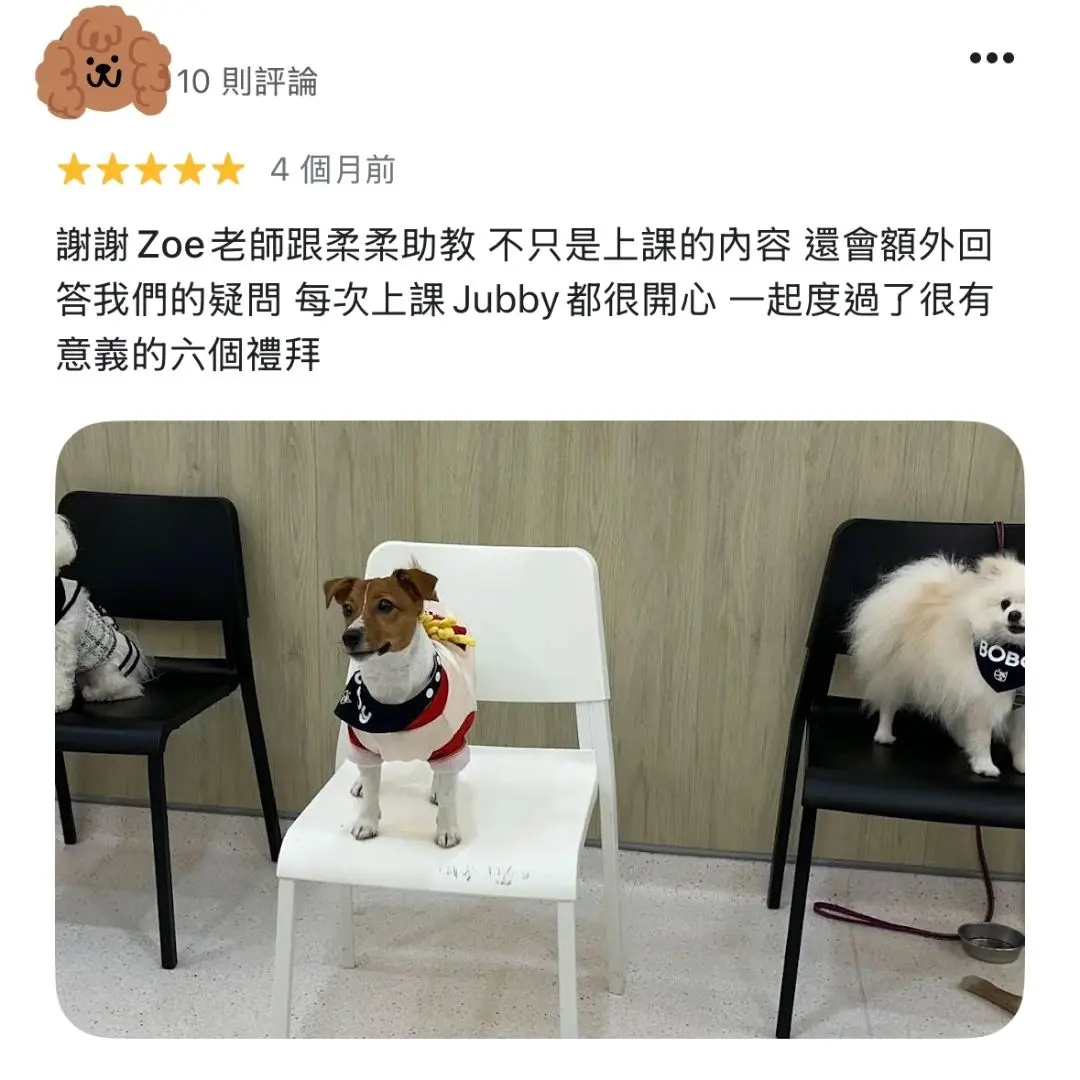 團體班評論 1