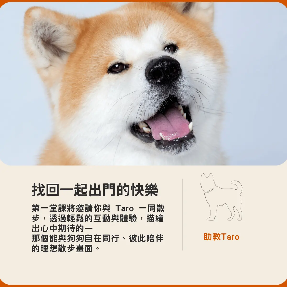 案例：march 12