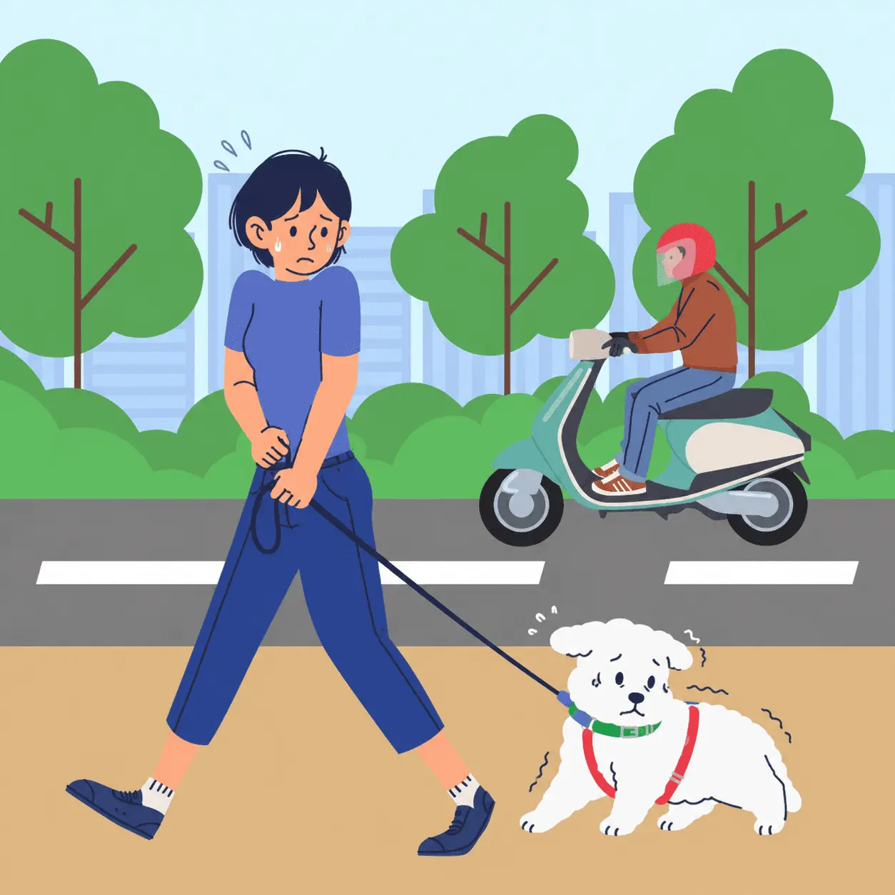 對車聲、人群或其他狗狗較敏感的狗狗